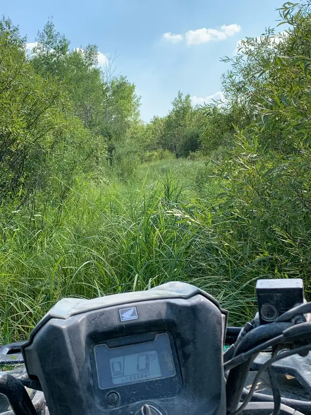 Custom Grazing 2026 - Photo 9