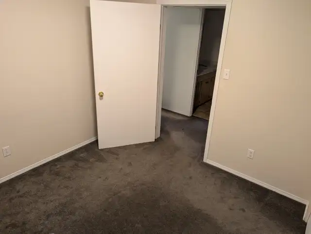 Room for Rent Bonnie Doon Basement Suite - Photo 8