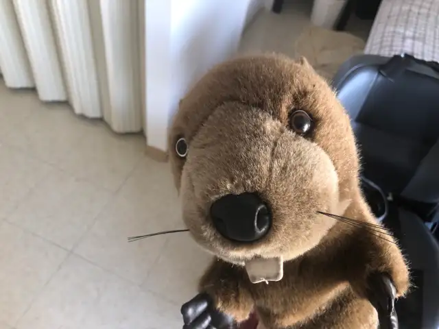 Golf headcover - Photo 2