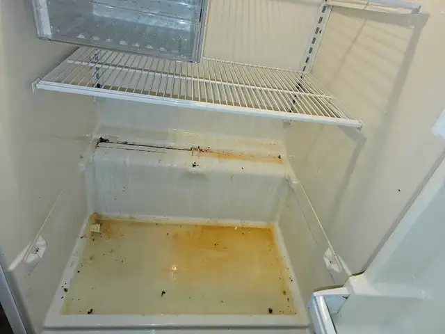 Cleaning service - Photo 7