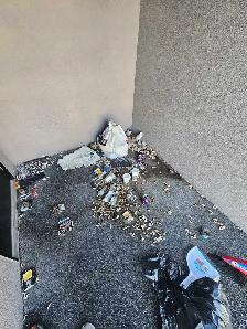 Cleaning service - Photo 9