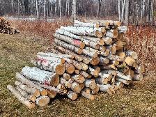 Birch Firewood