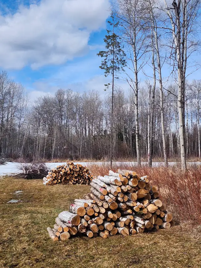 Birch Firewood - Photo 2