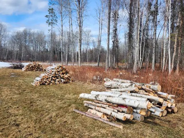 Birch Firewood - Photo 3