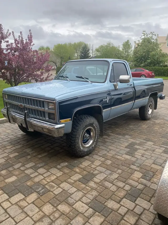 1981 Chev K10 - Photo 7