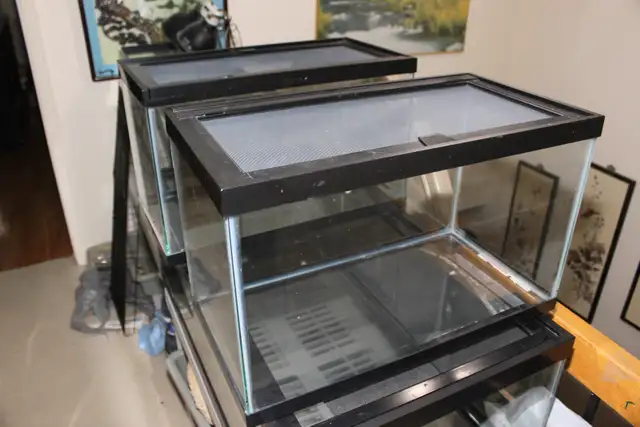 Zoo Med 10 Gal enclosure/terrarium