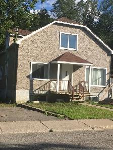 Large Room For Rent-Private Bathroom Across From Metro Cartier