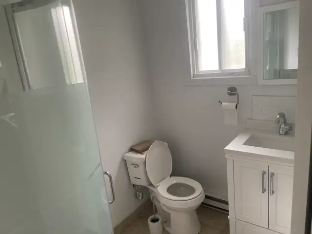 Large Room For Rent-Private Bathroom Across From Metro Cartier - Photo 3