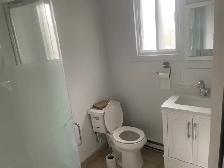 Large Room For Rent-Private Bathroom Across From Metro Cartier - Photo 3