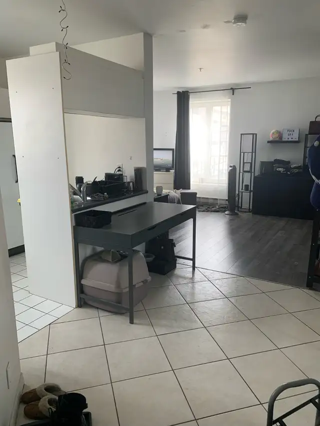 Downtown Montreal Metro Papineau luxury 2 1/2 with appliances