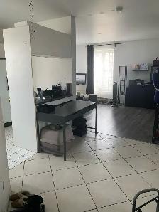 Downtown Montreal Metro Papineau luxury 2 1/2 with appliances