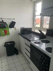 Downtown Montreal Metro Papineau luxury 2 1/2 with appliances - Photo 6