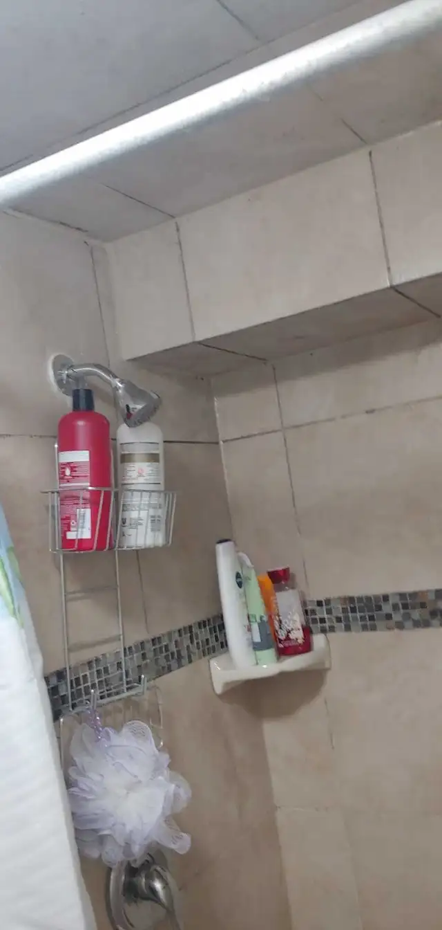 Near Sheridan College Room Girl Only - Photo 6