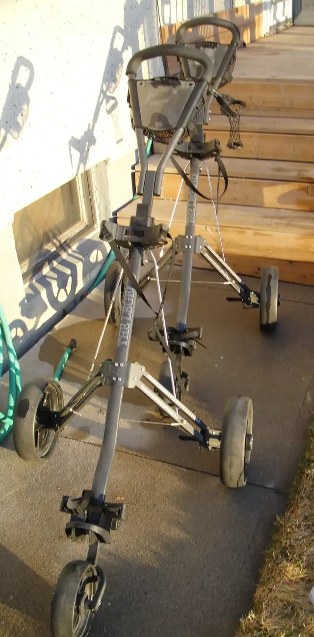 2 ARNOLD PALMER GOLF CARTS - Photo 3