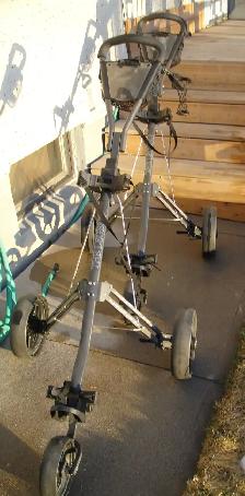 2 ARNOLD PALMER GOLF CARTS - Photo 3