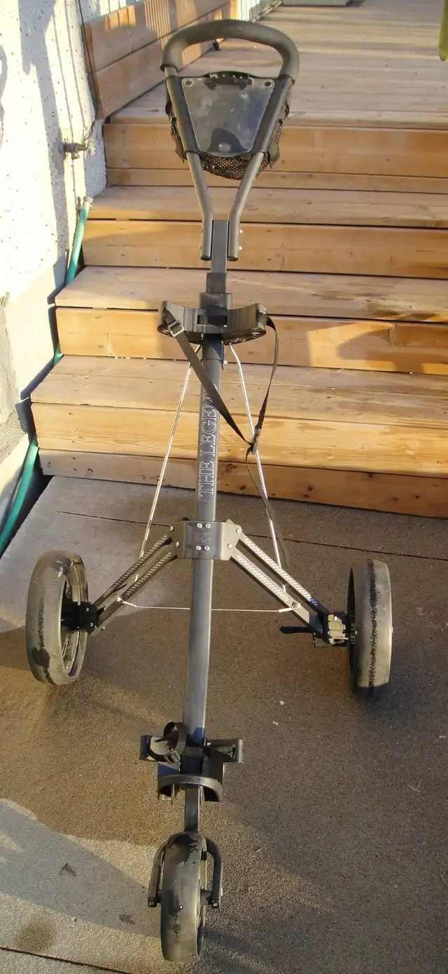 2 ARNOLD PALMER GOLF CARTS - Photo 4