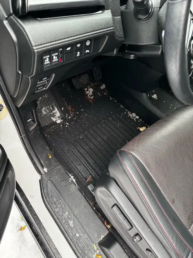 hiring someone to clean cars - Photo 7