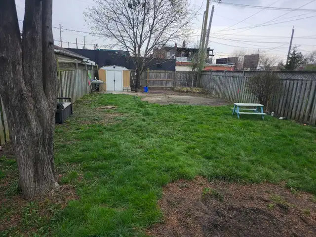 Junk Removal Windsor | Yard Clean Up | Same Day Service - Photo 3