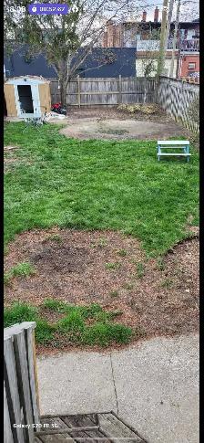 Junk Removal Windsor | Yard Clean Up | Same Day Service - Photo 8
