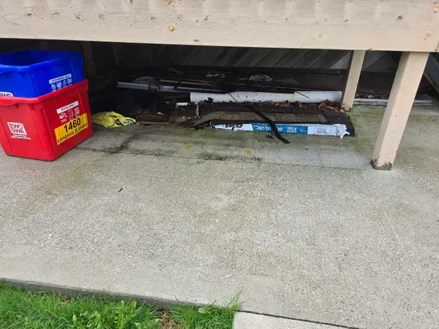 Junk Removal Windsor | Yard Clean Up | Same Day Service - Photo 9