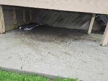 Junk Removal Windsor | Yard Clean Up | Same Day Service - Photo 10