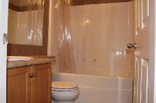 Spacious 3 Bed, 2.5 Bath Home in Terwillegar Towne - Photo 4
