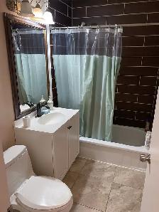 ROOM FOR RENT from 30th april,suitable for 2peopl step to MOHAWK - Photo 8