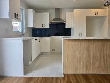 5½ NEUF STYLE CONDO (1300 pi²) – ÎLOT 8’   DOUCHE CÉRAMIQUE   TH - Photo 4