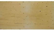 4 X 8 X 1/2 PLYWOOD, SLIGHTLY BOWED, SPRUCE