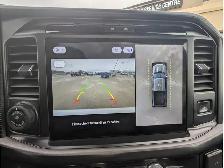 2025 Ford F-150 Tremor 5.0L/Touch Nav/Pano Sunroof/Camera - Photo 3