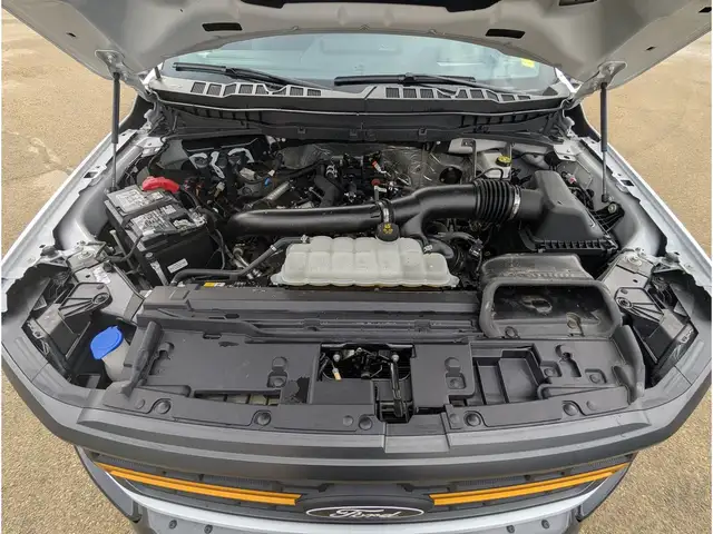 2025 Ford F-150 Tremor 5.0L/Touch Nav/Pano Sunroof/Camera - Photo 5