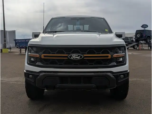 2025 Ford F-150 Tremor 5.0L/Touch Nav/Pano Sunroof/Camera - Photo 6