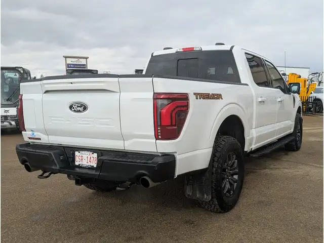 2025 Ford F-150 Tremor 5.0L/Touch Nav/Pano Sunroof/Camera - Photo 9