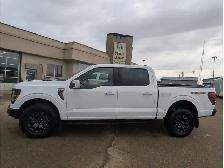 2025 Ford F-150 Tremor 5.0L/Touch Nav/Pano Sunroof/Camera - Photo 14