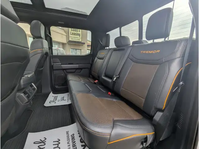 2025 Ford F-150 Tremor 5.0L/Touch Nav/Pano Sunroof/Camera - Photo 19