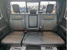 2025 Ford F-150 Tremor 5.0L/Touch Nav/Pano Sunroof/Camera - Photo 21