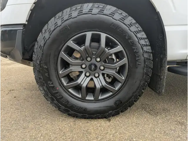 2025 Ford F-150 Tremor 5.0L/Touch Nav/Pano Sunroof/Camera - Photo 25