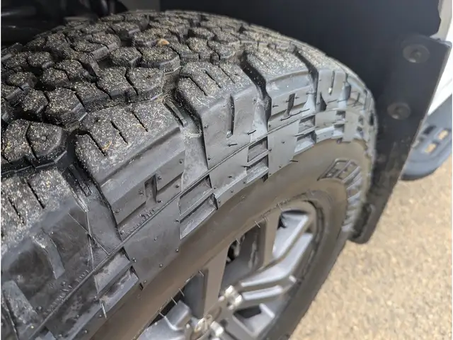 2025 Ford F-150 Tremor 5.0L/Touch Nav/Pano Sunroof/Camera - Photo 26