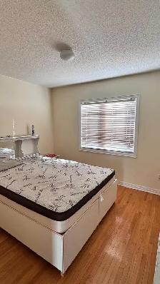 Room for rent Sharing