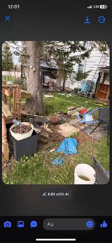 Junk removal service - Photo 2
