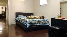 Legal 2 B/R Basement Room for RENT - Photo 2