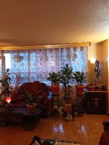 Private room-West Mall and Bloor ( ETOBICOKE ) HWY 427 - Photo 3