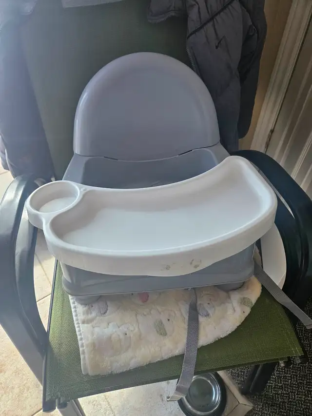 Swivel Booster Seat - Photo 2