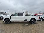 2026 Ford F-350 PLATINUM w/FX4, 5th WHL PREP, MNRF & 2KW PRO PWR - Photo 6