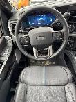 2026 Ford F-350 PLATINUM w/FX4, 5th WHL PREP, MNRF & 2KW PRO PWR - Photo 24