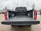 2026 Ford F-350 PLATINUM w/FX4, 5th WHL PREP, MNRF & 2KW PRO PWR - Photo 16
