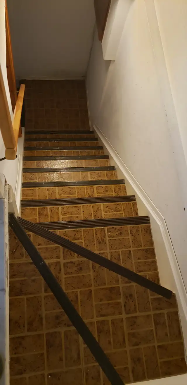 1 Bedroom Basement near Square One - Female  only (May 1st) - Photo 2