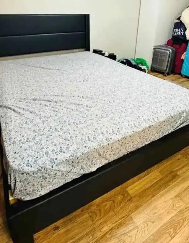 Brand New Bed in All Sizes: Single, Double, Queen & King!