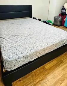 Brand New Bed in All Sizes: Single, Double, Queen & King!