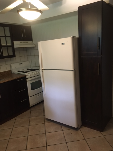 Lasalle: Beau 3 1/2 semi sous-sol, 4 électros inclu,Juillet - Photo 3